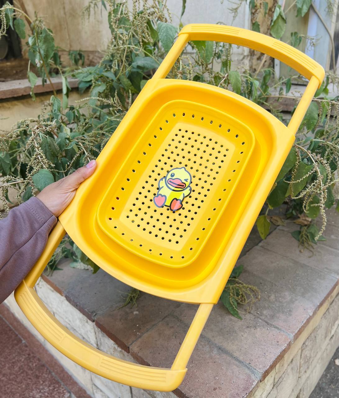 مصفى حوض بطوط