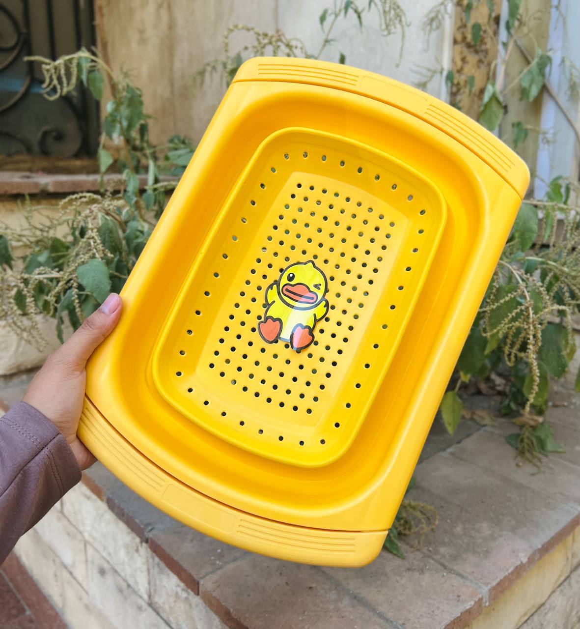 مصفى حوض بطوط