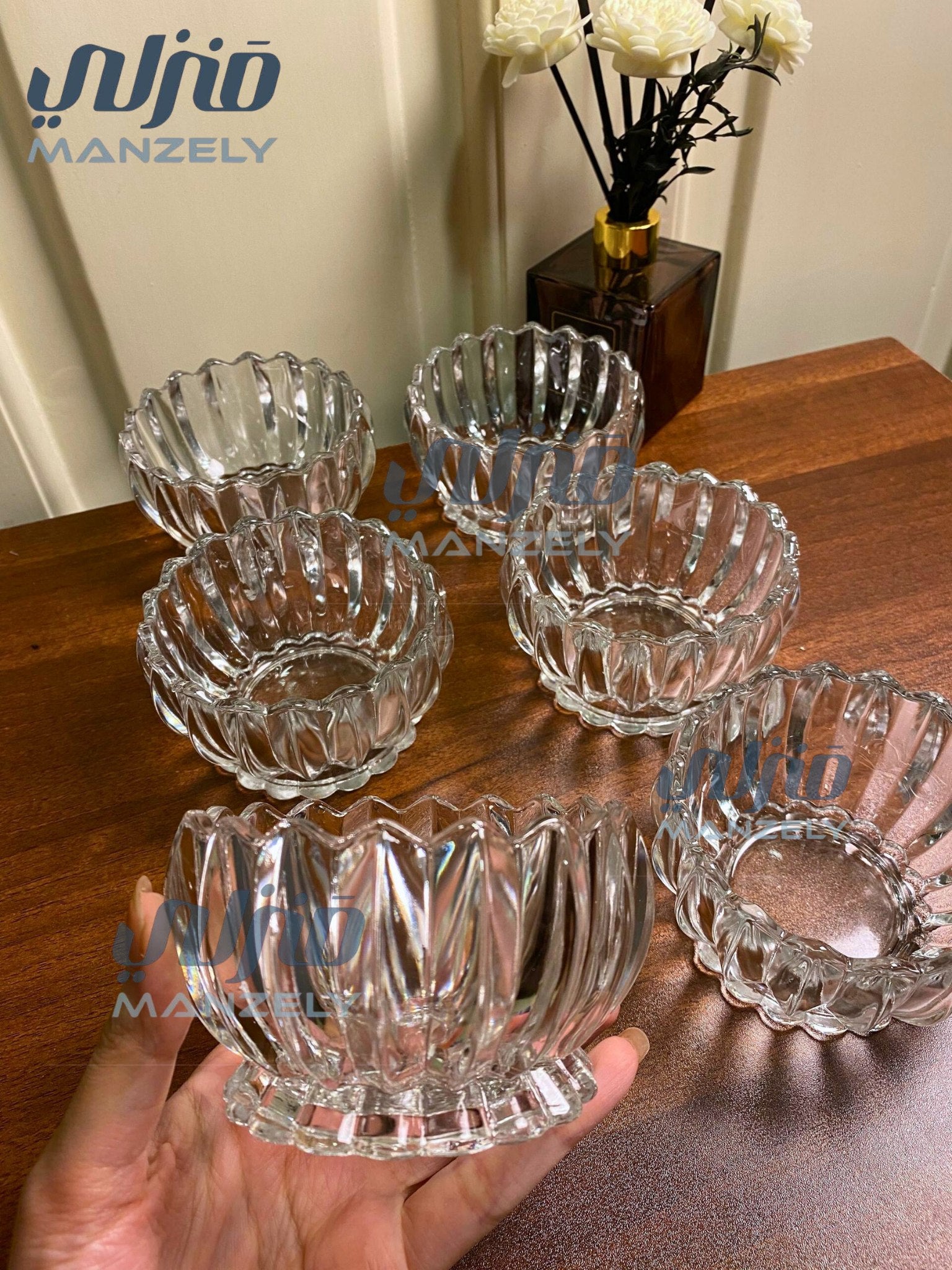 Ice cream scoops without plate, 250 ml, 6 pieces